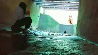 cursed_Hotdog kidnapping