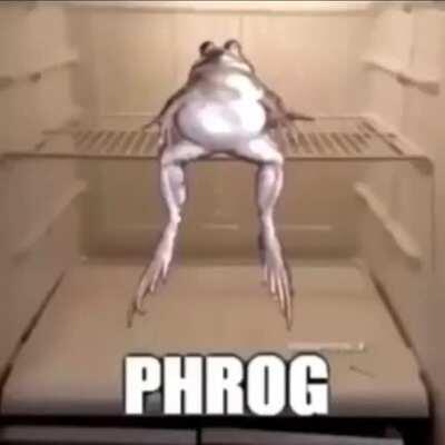Phrog😳