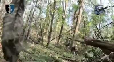 Combat work of the soldiers of the 73rd Naval Center for Special Operations in the Sumy sector . August 2025, published 01.09.2025