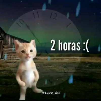 Es falso, el pana sigue vivo