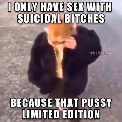 gayspiderbrothel - Video #1153