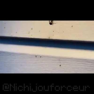 His Goal is beyond our understanding