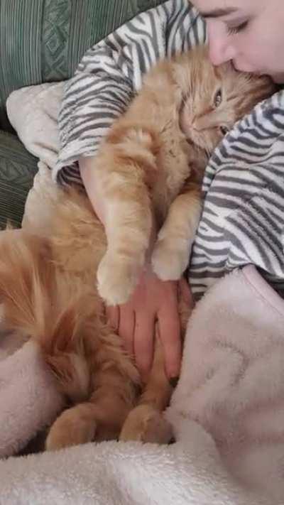 My little Ron. A love addict 💝