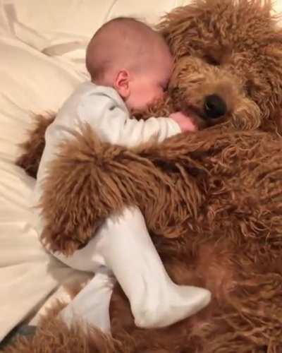 Baby hooman with his fluffy buddy