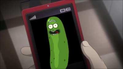 Funniest shit I've ever seen