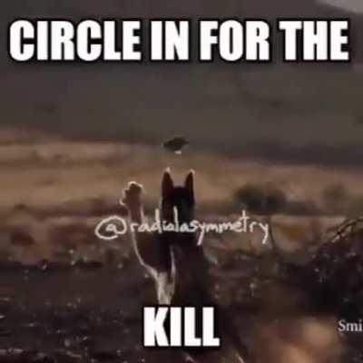 do you like how i walk