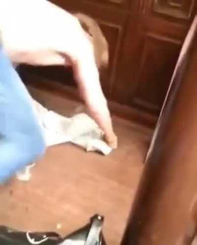 Hold my beer gone wrong (no cut this time)