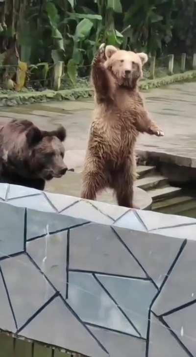 Excuse me, good sir, I would like one too!