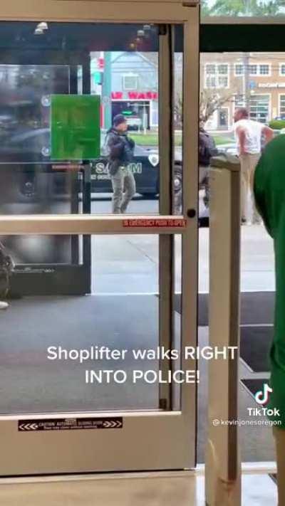 Another brazen shoplifter