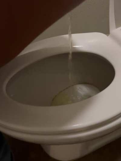 Would you open wide to swallow all my delicious golden nectar?