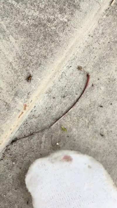 Ew my socks are so dirty from all the squishing I did today🤢