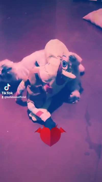 I wanted to play with my dog while I am taking a break from my caterpie challenge buuut