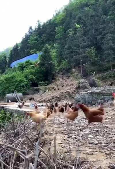 everytime i npm install