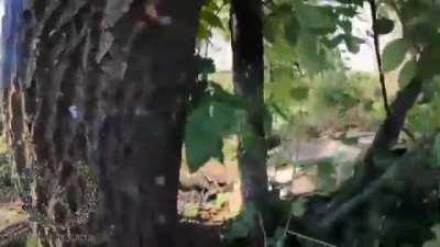 RU pov: GoPro footage from a killed Ukrainian soldier was uploaded by Russian soldiers. His group attacked a Russian position in the Svatove-Kreminna frontline, but was killed.