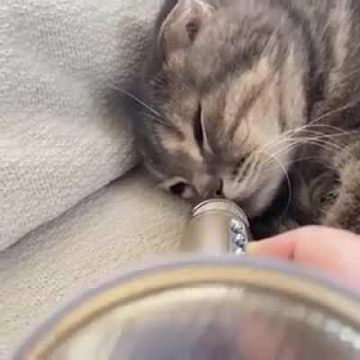 a submeowrine sending out signals