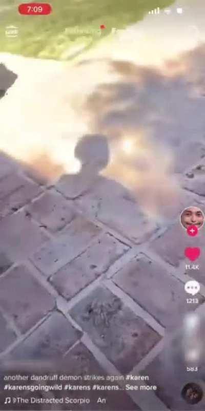 Parking in a handicapped spot, punching an old lady when confronted, then posting the video on TikTok like you’re proud of it. People were defending this POS.