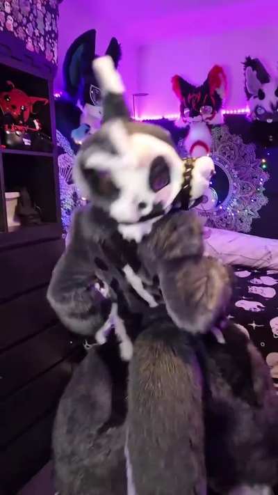 I'm waiting on the bodysuit to match this head so for now I like to wear a bodysuit from one of my others suits with it sometimes 😋