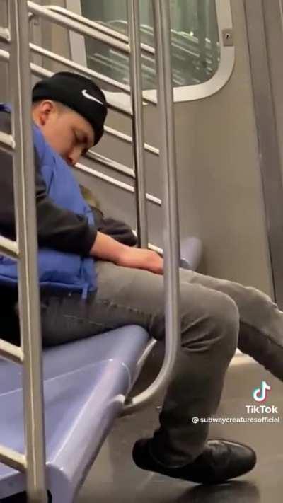 Ratatouille on the subway home from work