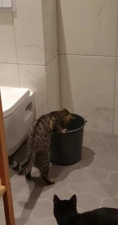 Doing his share of the washing