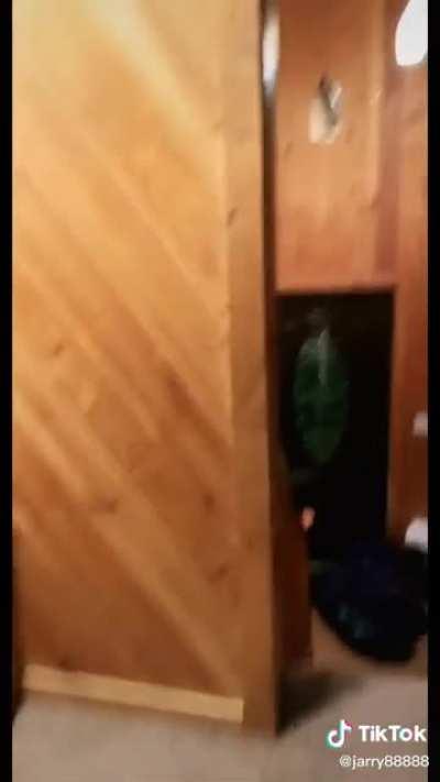 Holidays with the family