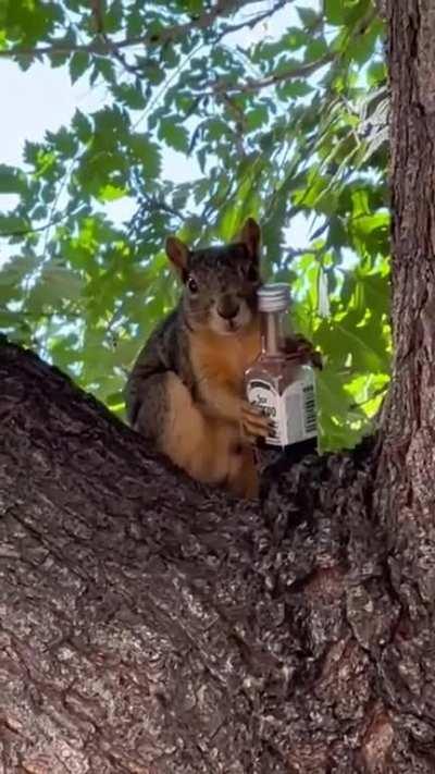 That nut looks suspicious