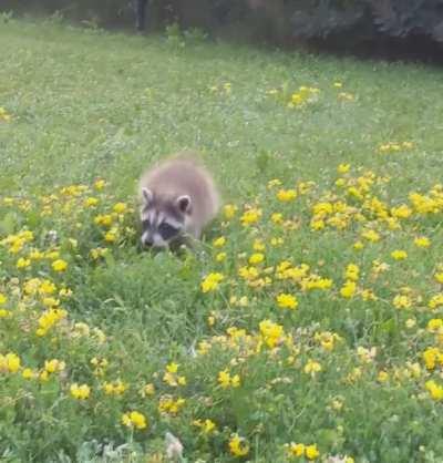 Every stop I make, I make a new friend...