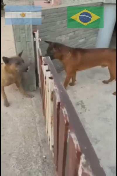 2latinoforyou - Video #0979