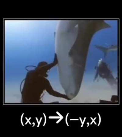 SquarePosting - Video #5657