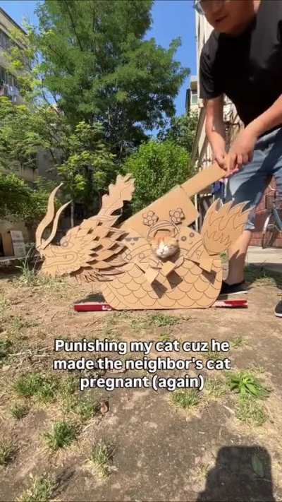 wunk of biblical lust