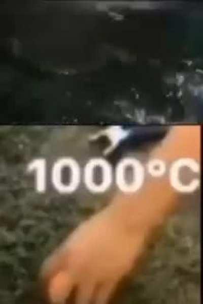 AAAAAAAAAAAAAAAAAAAAAAAAAAAA