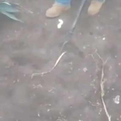 Alan que pendejada hiciste