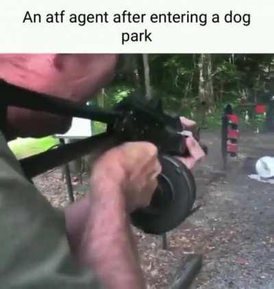 BATFE at the dog park.