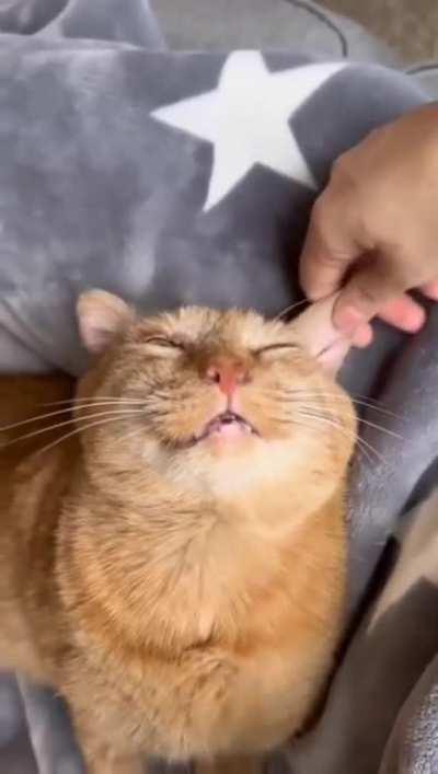 What tender love and care can do...