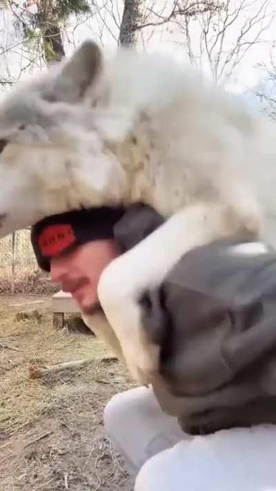 Big boi demands a piggyback ride