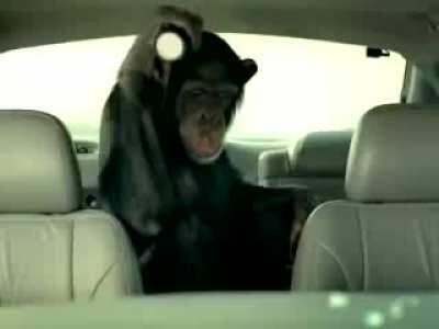 Alarma Monkey Alarma Monkey 😳👌