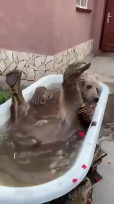 It’s Friday, it’s time for my weekly bath
