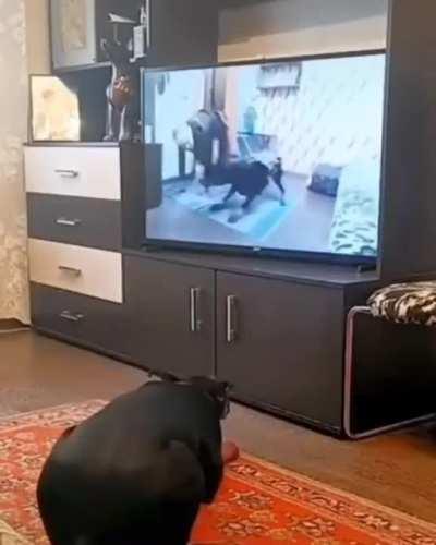 Getting that workout in