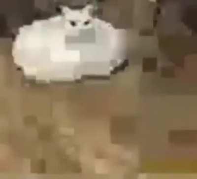 This video of this strange goblin thing