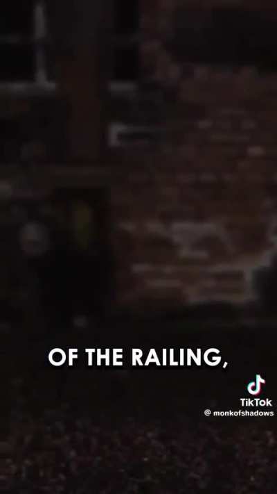 This whole thing sounds like a hypothetical from the Robocop playthrough