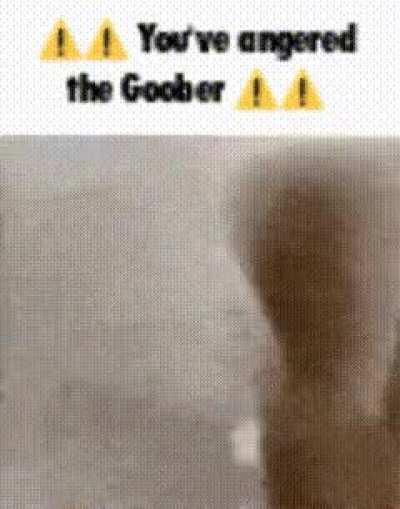 Give me silly images of memifed cats like this NOW