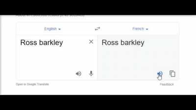 The Adventures of Ross