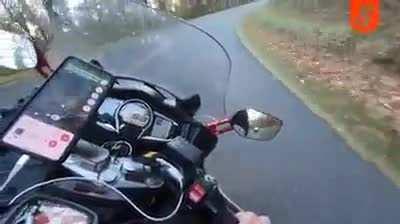 They always choose the worst time to cross the street, don't they?