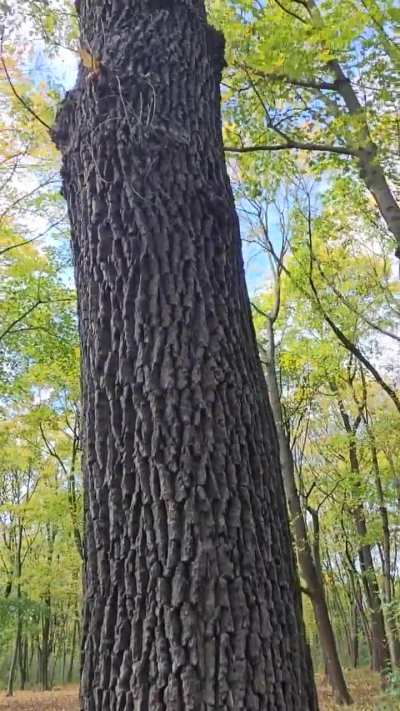 I think I found something