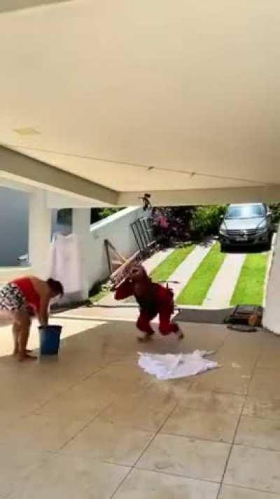 Most random thing I've seen in the last 6 months or so 