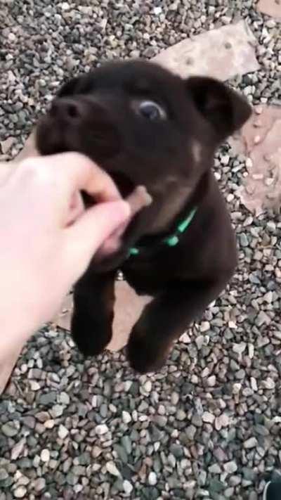 He needs a little more practice