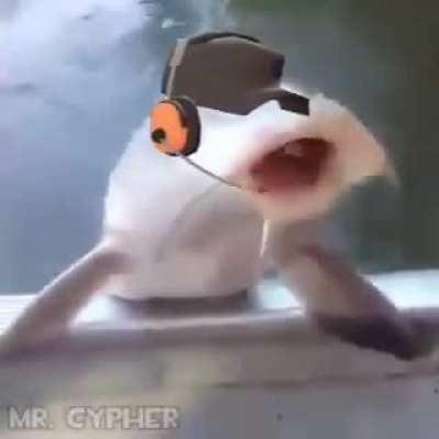 next time eat a salad