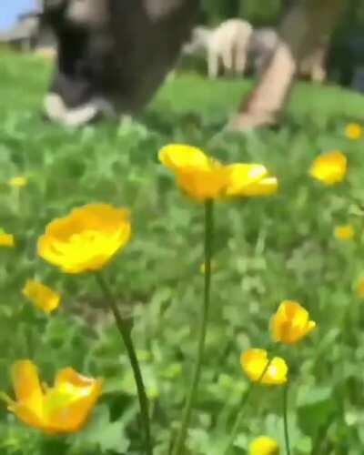 This place is heaven