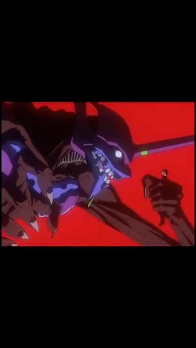 My favourite Evangelion edit