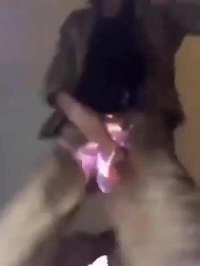 Flawless victory. Let's hear it for natural selection.