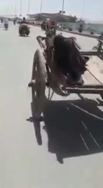 Direct competition with Tesla's auto pilot